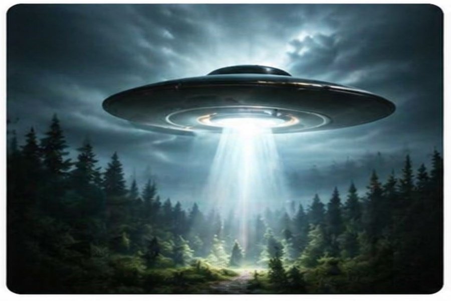 UFO hovering over forest during a real sighting case study